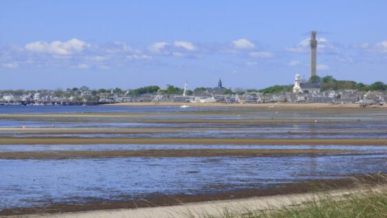 boston harbor cruises salacia