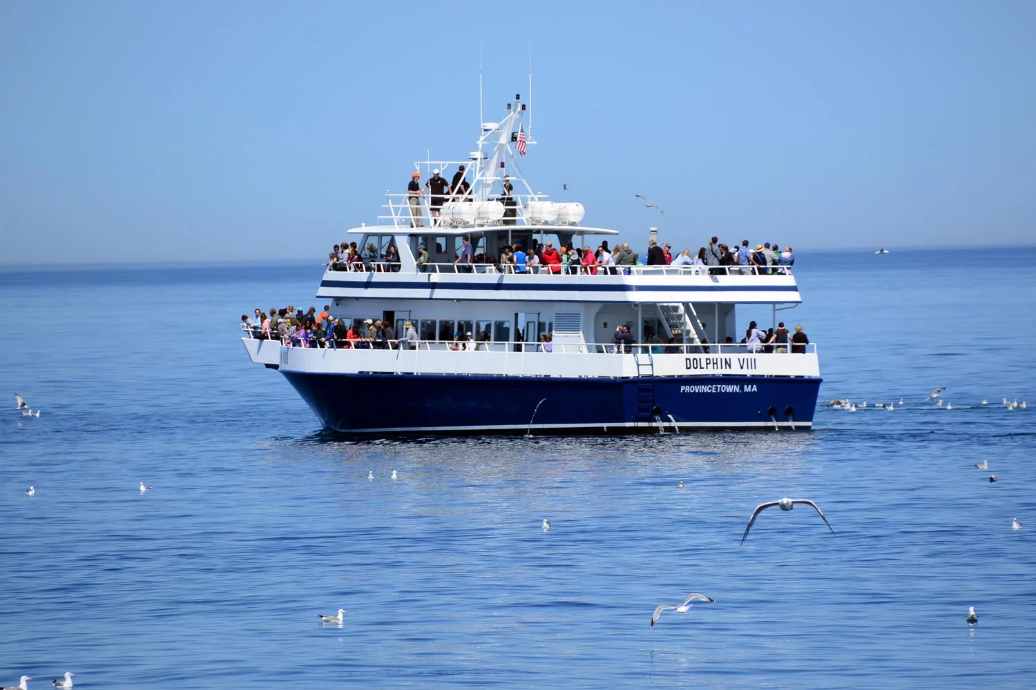 Whale watching boat in the ocean in Provincetown, MA. Copyright Dave Silvia.