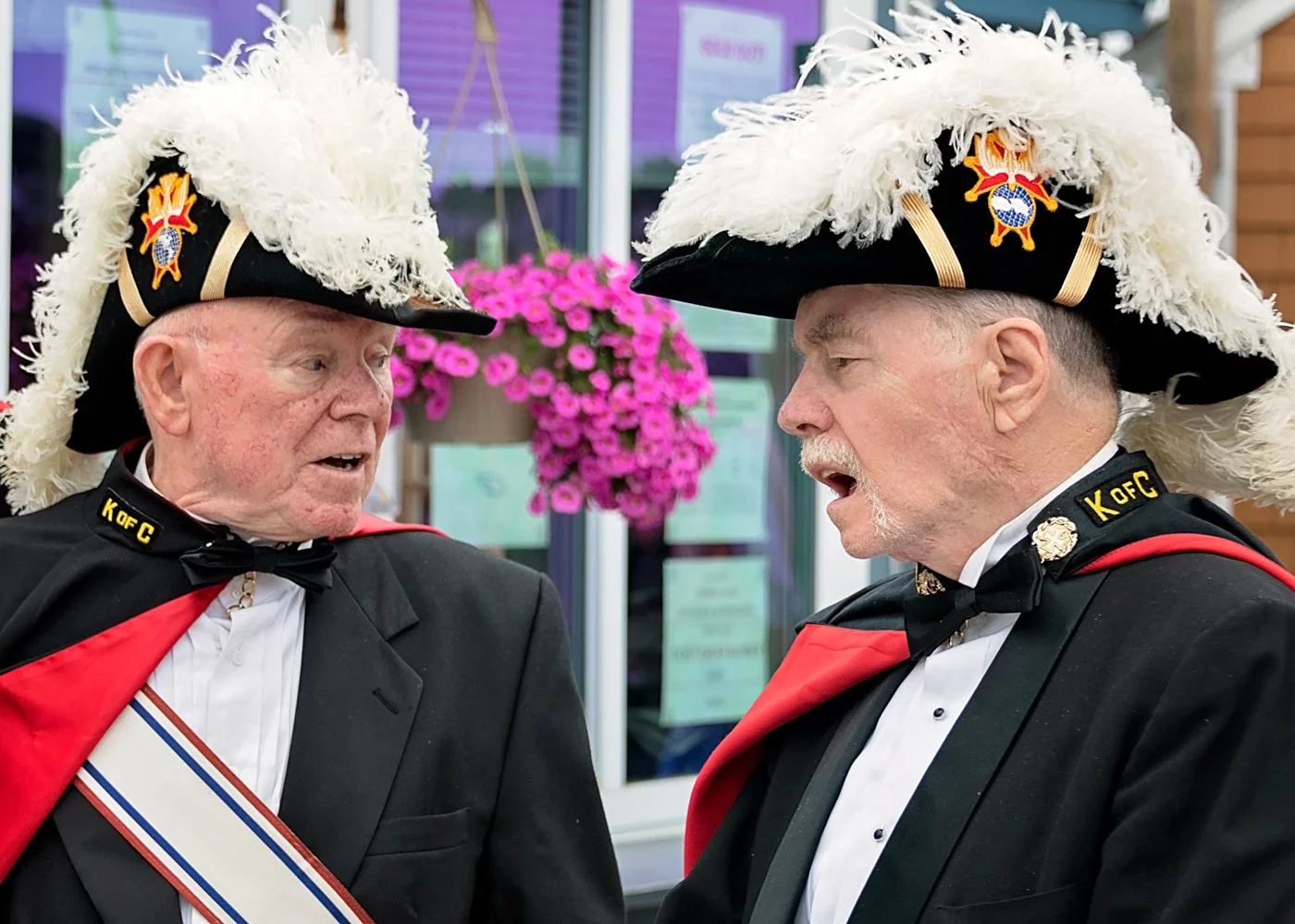 Provincetown Portuguese Festival — Provincetown